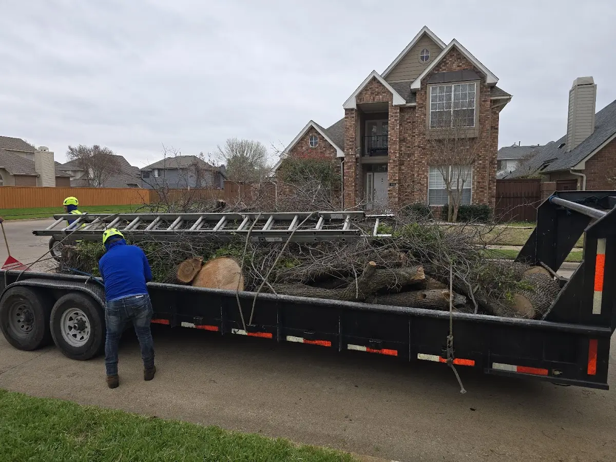 Expert Tree Pest Control with proper safety equipment in Mooreland